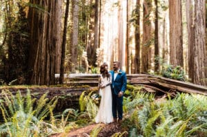 redwoods elopement