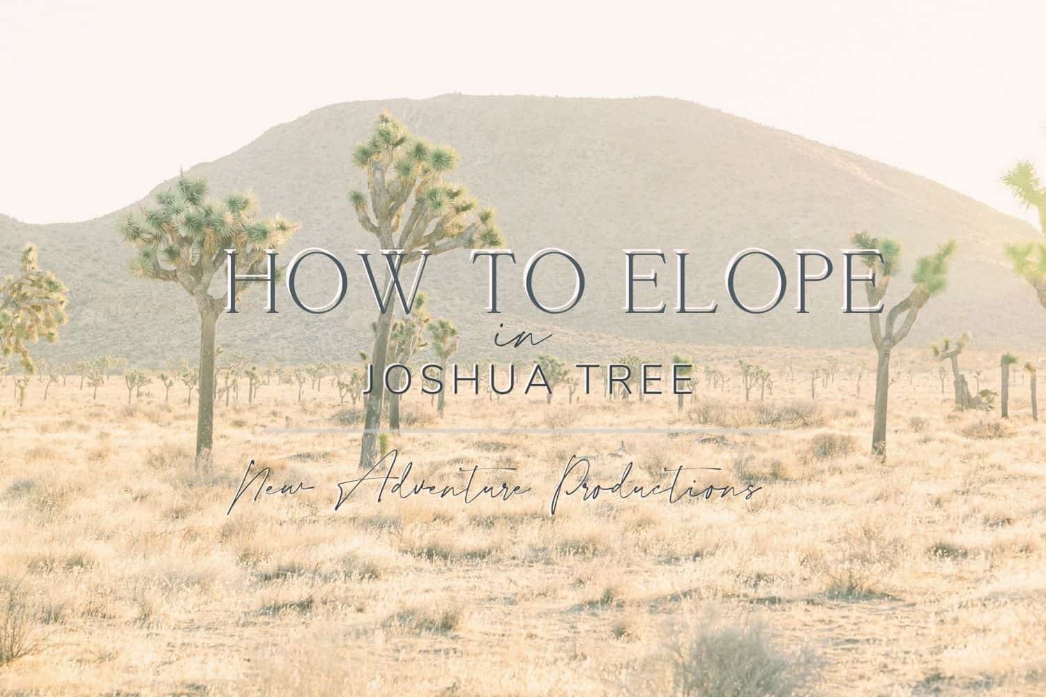 elope in joshua tree