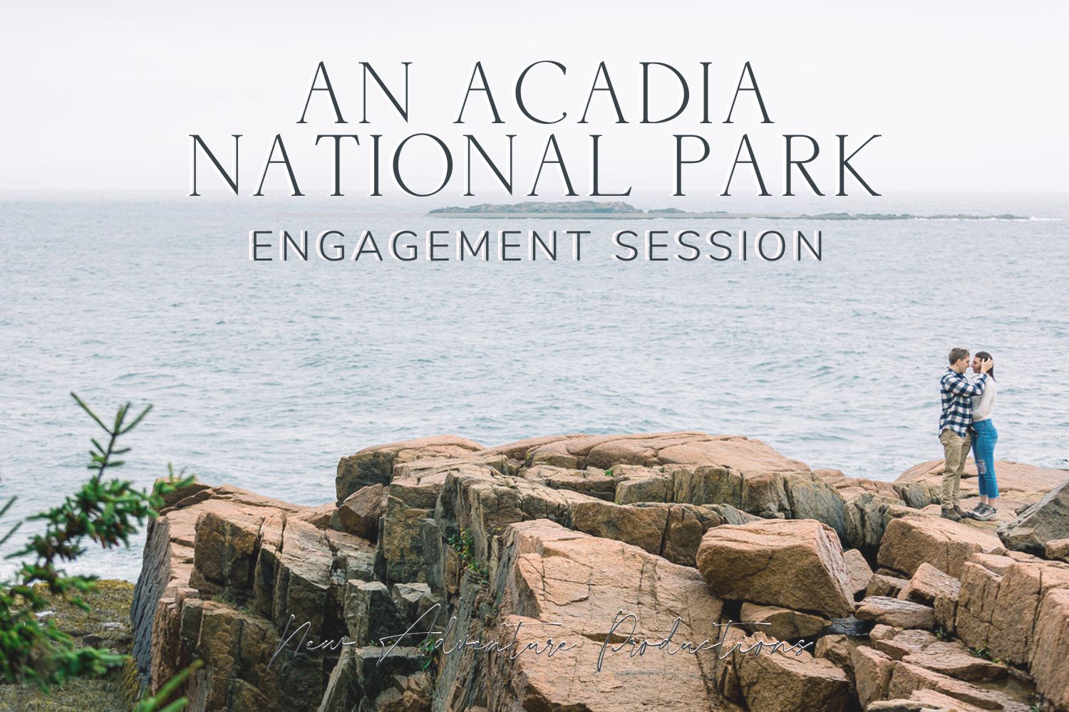 acadia national park engagement