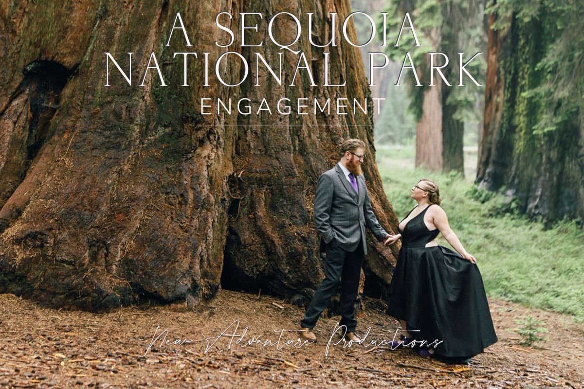 A Sequoia National Park engagement