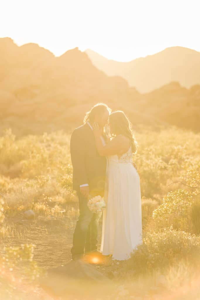 las vegas desert portraits with bride and groom golden hour